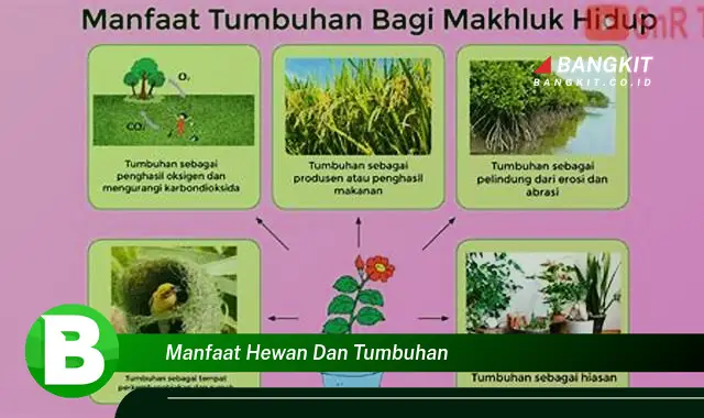 Intip Manfaat Hewan dan Tumbuhan yang Bikin Kamu Penasaran!