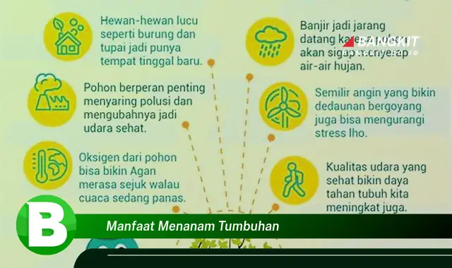 Ketahui Manfaat Menanam Tumbuhan yang Bikin Kamu Penasaran