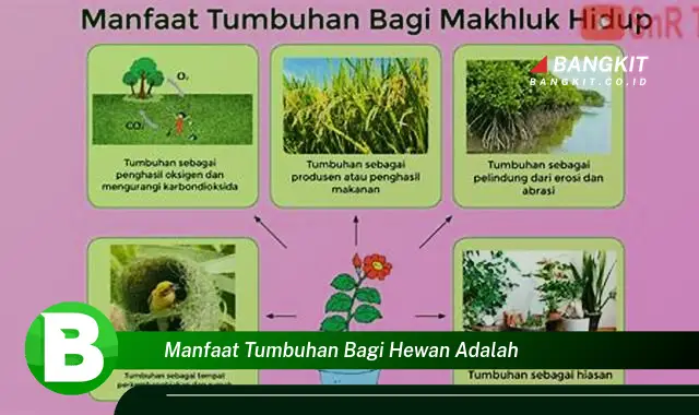 Ketahui Manfaat Tumbuhan Bagi Hewan, Dijamin Bikin Kamu Penasaran!