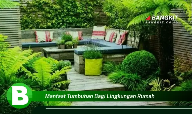 Temukan Manfaat Tumbuhan yang Bikin Rumahmu Segar dan Bernuansa Alam