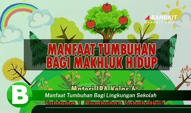 Temukan Manfaat Tumbuhan untuk Sekolah yang Bikin Kamu Penasaran