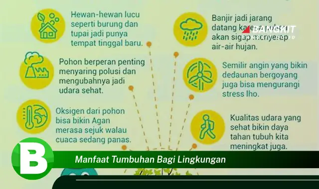 Intip Rahasia Tumbuhan yang Bikin Kamu Penasaran untuk Lingkungan yang Lestari