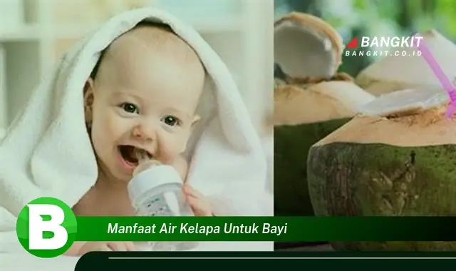 Intip Manfaat Air Kelapa untuk Bayi yang Bikin Kamu Penasaran