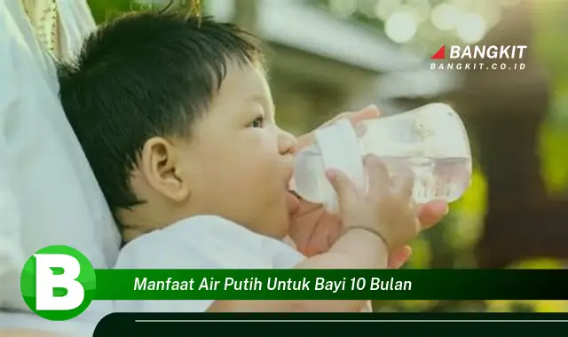 Ketahui Manfaat Air Putih untuk Bayi 10 Bulan yang Wajib Kamu Tau