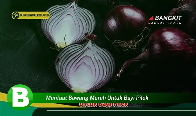 Temukan Rahasia Bawang Merah untuk Bayi Pilek yang Wajib Kamu Ketahui