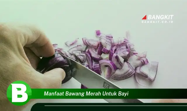 Temukan Manfaat Bawang Merah untuk Bayi yang Bikin Kamu Penasaran