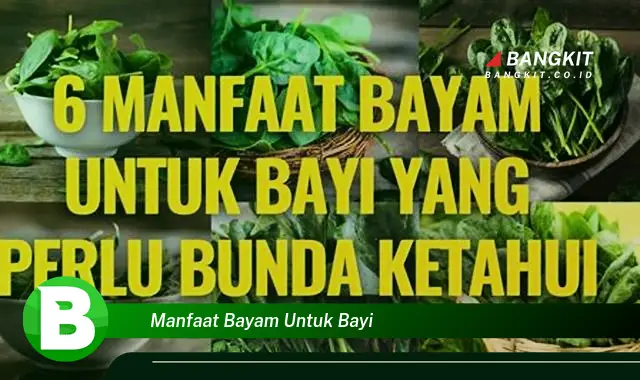 Intip Manfaat Bayam untuk Bayi yang Bikin Kamu Penasaran