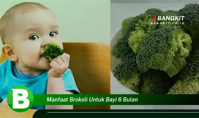 Ketahui Manfaat Brokoli untuk Bayi 6 Bulan yang Bikin Kamu Penasaran