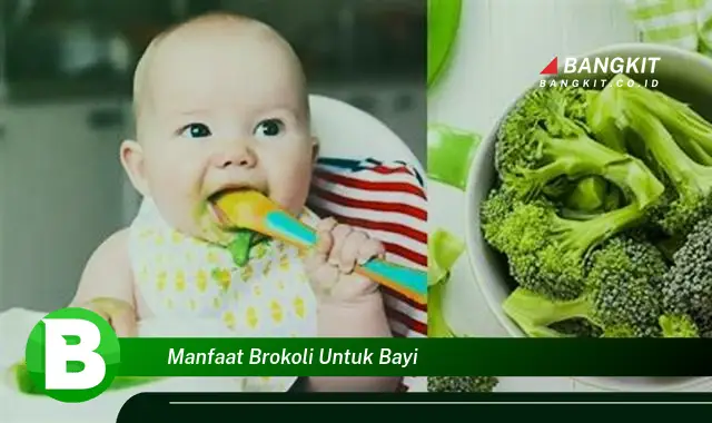 Ketahui Manfaat Brokoli untuk Bayi yang Bikin Kamu Penasaran