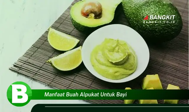 Intip Manfaat Buah Alpukat untuk Bayi yang Bikin Kamu Penasaran