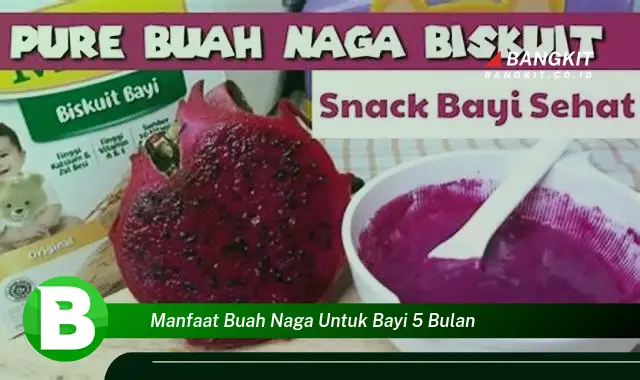 Intip Manfaat Buah Naga untuk Bayi 5 Bulan yang Bikin Kamu Penasaran