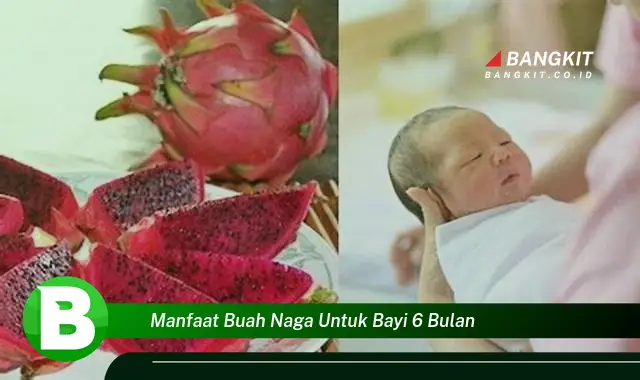 Temukan Manfaat Buah Naga untuk Bayi 6 Bulan yang Bikin Kamu Penasaran