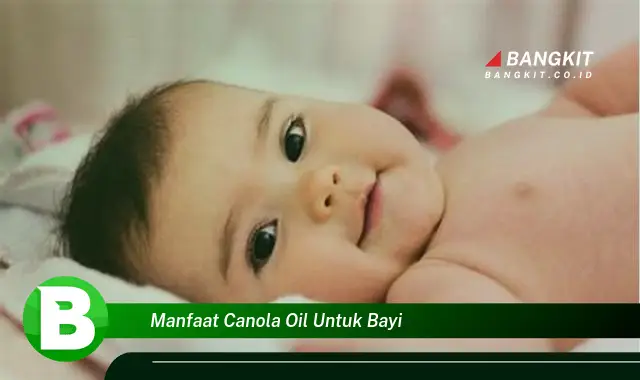 Intip Manfaat Canola Oil untuk Bayi yang Bikin Kamu Penasaran