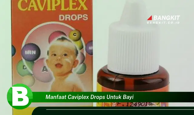 Intip Manfaat Caviplex Drops untuk Bayi yang Wajib Kamu Tau