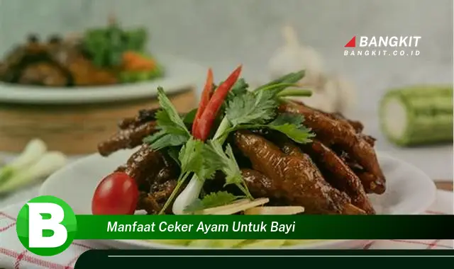 Ketahui Manfaat Ceker Ayam Untuk Bayi yang Wajib Kamu Tau