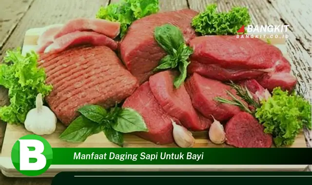 Intip Manfaat Daging Sapi untuk Bayi yang Bikin Kamu Penasaran