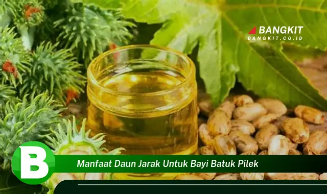 Intip Manfaat Daun Jarak untuk Bayi Batuk Pilek yang Bikin Kamu Penasaran