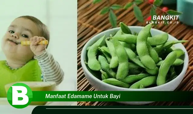 Ketahui Manfaat Edamame untuk Bayi yang Bikin Kamu Penasaran