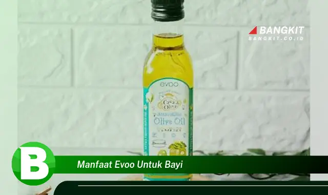 Intip Manfaat EVOO untuk Bayi yang Bikin Kamu Penasaran