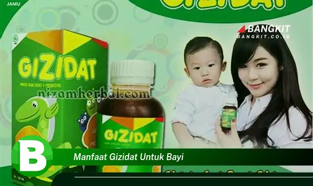 Ketahui Manfaat Gizidat untuk Bayi yang Wajib Kamu Tau