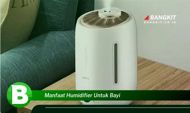 Ketahui Manfaat Humidifier untuk Bayi yang Wajib Kamu Intip!