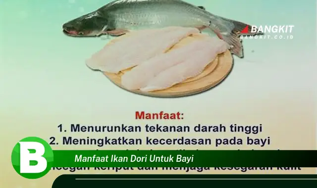 Intip Manfaat Ikan Dori untuk Bayi yang Bikin Kamu Penasaran