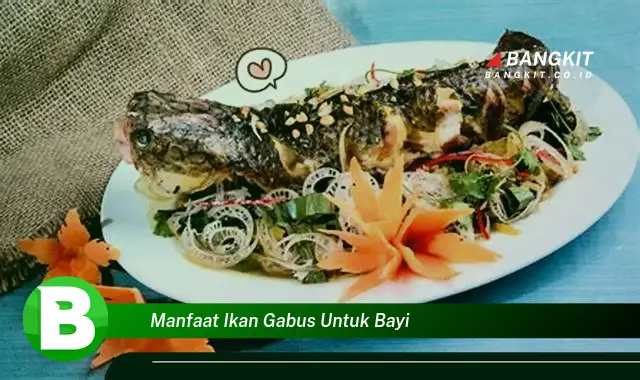 Temukan Manfaat Ikan Gabus untuk Bayi yang Bikin Kamu Penasaran