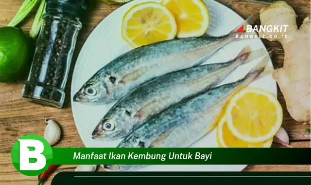 Ketahui Manfaat Ikan Kembung untuk Bayi yang Bikin Kamu Penasaran