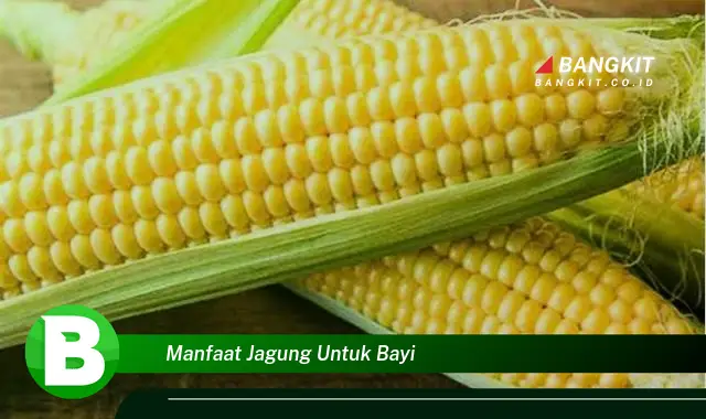 Ketahui Manfaat Jagung untuk Bayi yang Bikin Kamu Penasaran