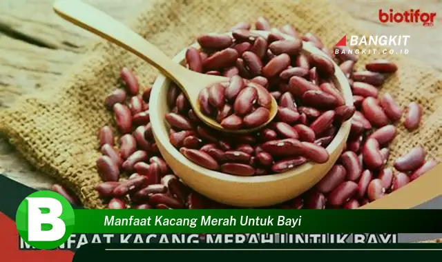 Intip Manfaat Kacang Merah untuk Bayi yang Wajib Kamu Tahu