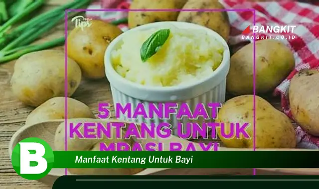 Ketahui Manfaat Kentang yang Wajib Kamu Intip untuk Si Kecil