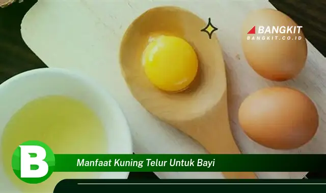 Temukan Manfaat Kuning Telur untuk Bayi yang Bikin Kamu Penasaran