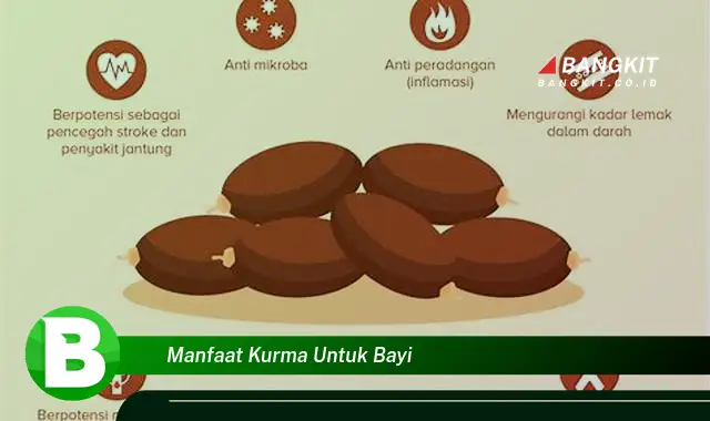 Temukan Manfaat Kurma Untuk Bayi yang Wajib Kamu Tau