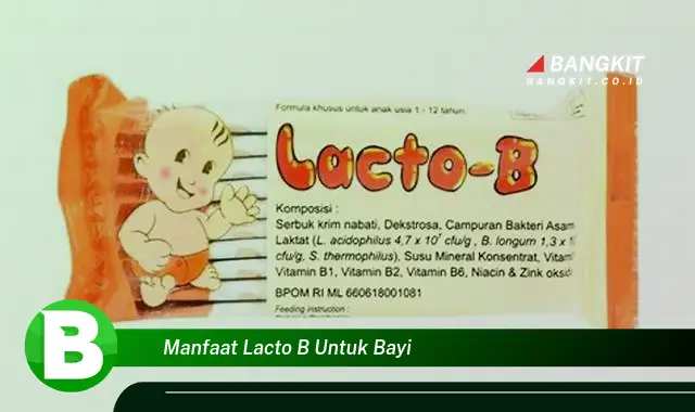 Temukan Manfaat Lacto B untuk Bayi yang Bikin Kamu Penasaran