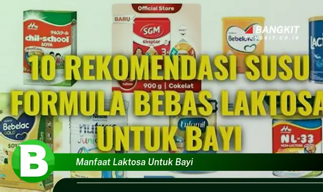 Intip Manfaat Laktosa untuk Bayi yang Wajib Kamu Intip