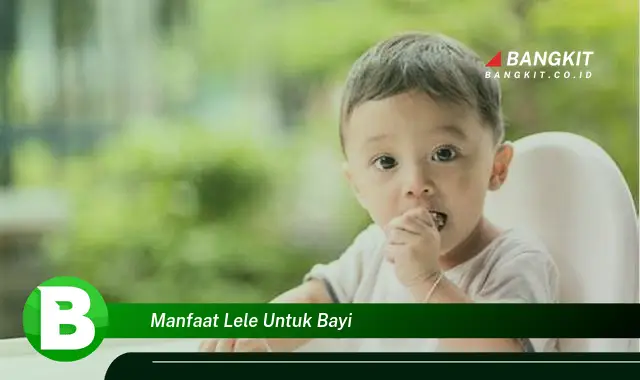 Intip Manfaat Lele untuk Bayi yang Bikin Kamu Penasaran