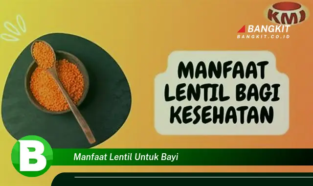 Ketahui Manfaat Lentil untuk Bayi yang Bikin Kamu Penasaran