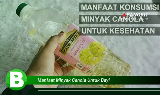 Ketahui Manfaat Minyak Canola untuk Bayi yang Bikin Kamu Penasaran