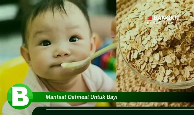 Temukan Manfaat Oatmeal untuk Bayi yang Bikin Kamu Penasaran