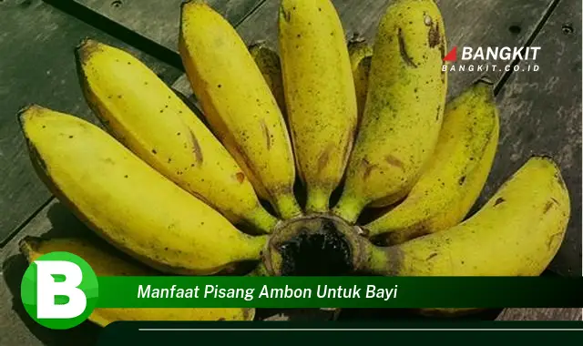 Temukan Manfaat Pisang Ambon yang Bikin Kamu Penasaran