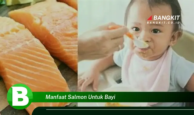 Temukan Manfaat Salmon untuk Bayi yang Bikin Kamu Penasaran