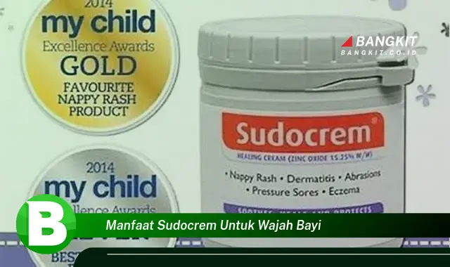 Intip Manfaat Sudocrem untuk Wajah Bayi yang Bikin Kamu Penasaran