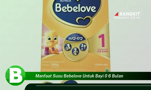 Temukan Manfaat Susu Bebelove untuk Bayi 0-6 Bulan yang Bikin Kamu Penasaran