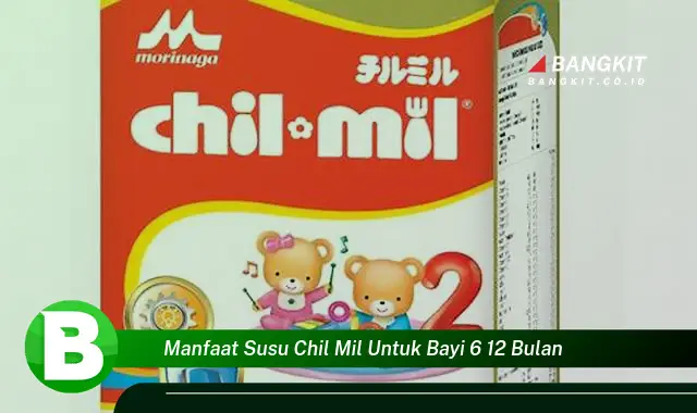 Temukan Manfaat Susu Chil Mil untuk Bayi 6-12 Bulan yang Bikin Kamu Penasaran