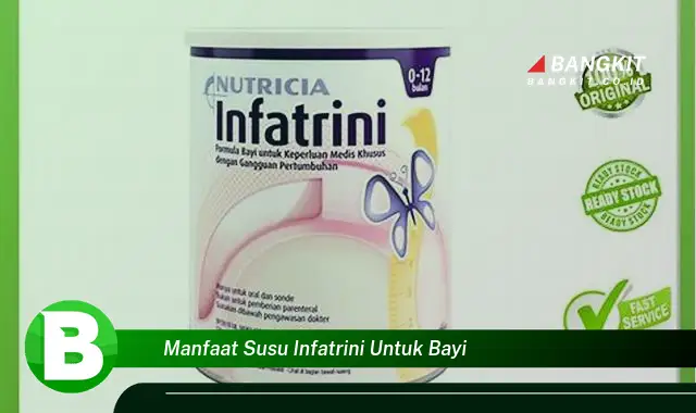 Temukan Manfaat Susu Infatrini untuk Bayi yang Wajib Kamu Intip