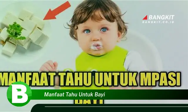 Ketahui Manfaat Tahu Untuk Bayi yang Wajib Kamu Tau