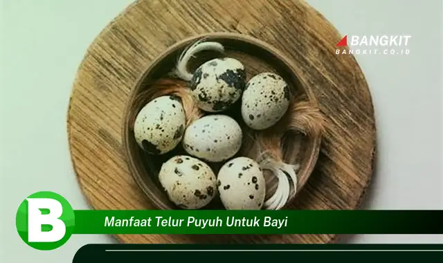 Temukan Manfaat Telur Puyuh untuk Bayi yang Wajib Kamu Intip