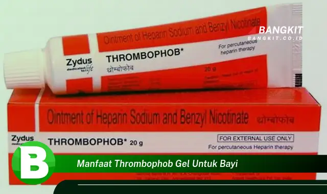 Ketahui Manfaat Thrombophob Gel untuk Bayi yang Bikin Kamu Penasaran