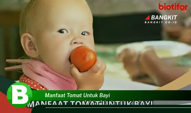 Intip Manfaat Tomat untuk Bayi yang Bikin Kamu Penasaran