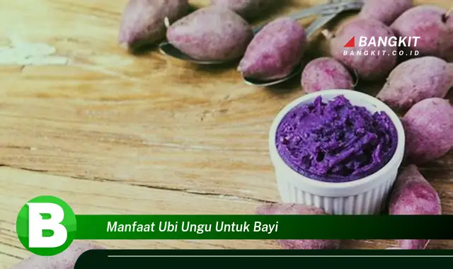 Temukan Manfaat Ubi Ungu untuk Bayi yang Bikin Kamu Penasaran!